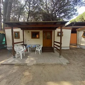 https://amenra-mobile-homes-mare-e-pineta.emilia-romagnahotels.net